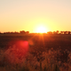 Image for article titled Shooting Challenge Sunset Gallery 1